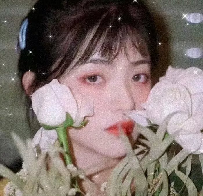 有女怀春